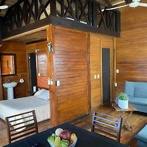 Casa Paraiso , Puerto Morelos Mexico