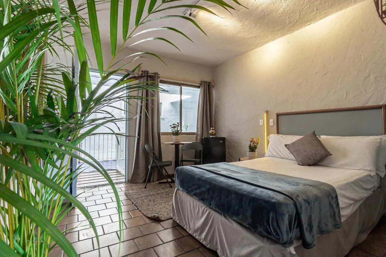 Hotel Soy Local Puerto Vallarta